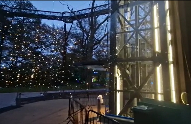 Tower Lifts Installs a Scenic Glass Lift for Kew Gardens Treetop Walkway